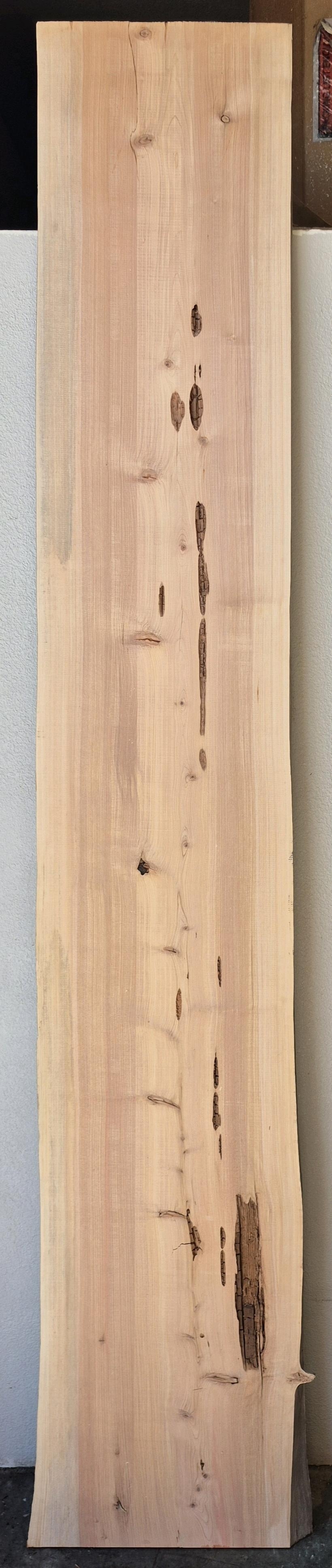 ACQ-0003-S369