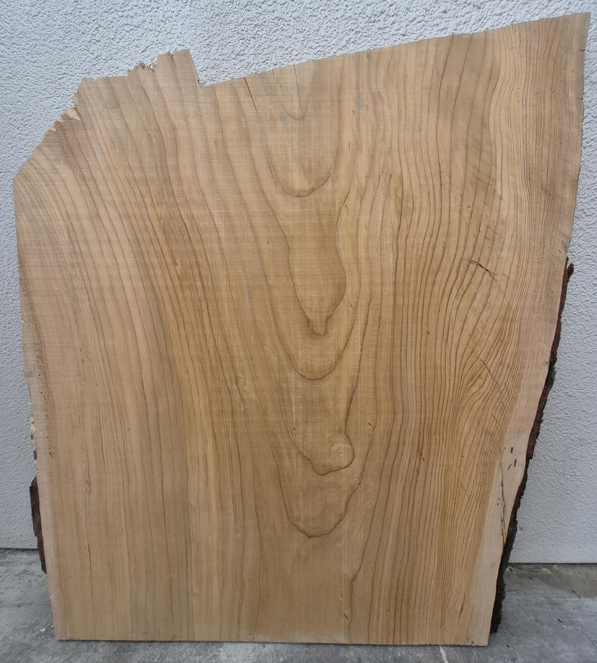 ACQ-0003-S856